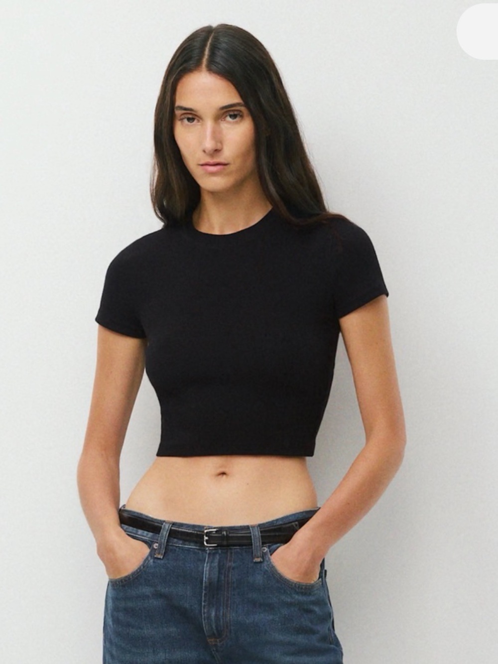 Aritzia Homestretch Black Rib crop T-shirt